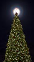 Holiday Photo Freebies
