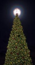 Holiday Photo Freebies