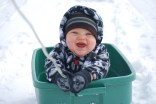 Friday Snow Photos - Gallery I