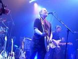 More from Dave Wakeling