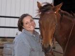Reward Offered in Horse Murder