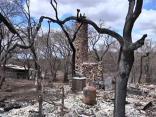 Residents Stunned by Wildfire Damage
