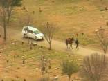 Officer Story Funeral and Procession