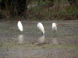 Wintry, Wet Weather Surprises North Texans