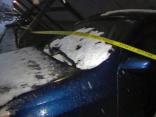 Carports Tumble Under Weight of Heavy Snow