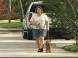 Woman Hurt After Pack of Dogs Attack
