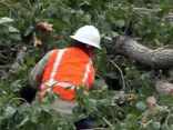 Hard-Hit Denton Co. Cleans Up Storm Damage