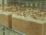 Goat's Milk Gets Your Skin Fraiche