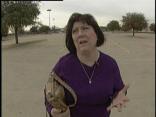 "Madder Than Hell" Grandma Fights Purse Snatcher