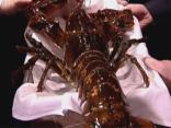 No Dallas Lobster Tale