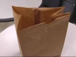Cops: Dallas Flasher Only Wears Paper Bag