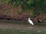 Paddling Down the Trinity River
