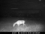 UFOs in Archer City?