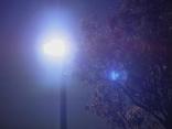 Residents Lit Up About White Rock Lake Lights