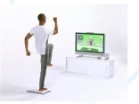 Wii Fit or Fat?