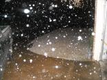 North Texas Snow - Dec. 9, 2008
