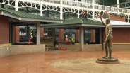 Ballpark Renovations