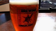 A Beer Revolution