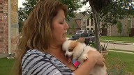 Good Samaritan Helps Woman Rescue Nearly Blind Dog