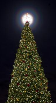 Holiday Photo Freebies