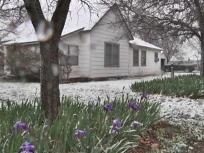 First Day of Spring Brings Snow