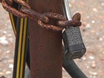 Suspicions of Theft, Chase Ends with One Dead
