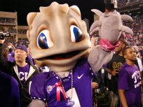 TCU Hosts Frog-Watching Party Saturday