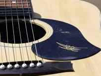 Concert Memorializes Wrong Way Accident Victim