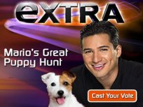 Mario's Great Puppy Hunt