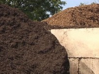 Dyno Dirt Keeps it Local