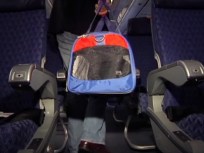 Your Pet's Guaranteed Airplane Seat