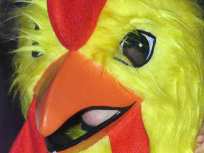 Angry Chickens Flock to Leno's Studio