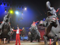 7/28: Village Eats, Swingin' Shindig, Big Name Little
