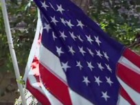 Flag Flap Flies in The Colony