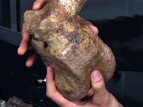 Fossils Give Peek at Some Real Old Timers