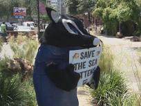 PETA Seeks To Rename Fish