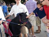 Donated Horses Raises Worries Over Future of SMU's Peruna