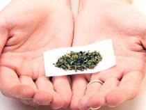 Texas Group Wants to Legalize Marijuana as Medicine
