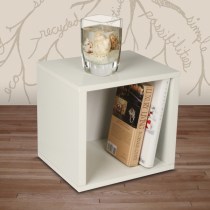 Nice Cube
