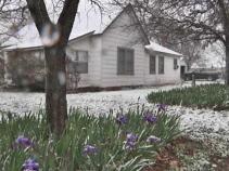 First Day of Spring Brings Snow