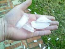 Hail Fail (But Nice Try)