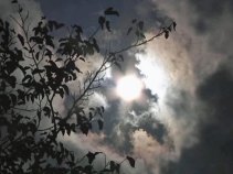 The Sun, FINALLY!