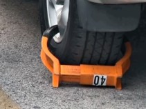 Ordinance Could Keep Boots From Fouling All-Star Cars
