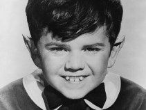 Eddie Munster To Wed Cheerleader