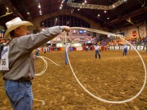 Stock Show Tickets Going on Sale 