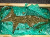 30 Pounds of Weed Delivered to Wrong Address
