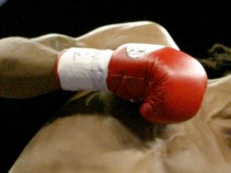 Boxing Promoters to Tour JerryWorld