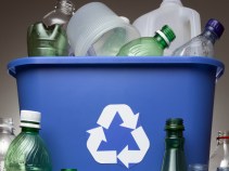 Green Dream Recycling Filling the Void 