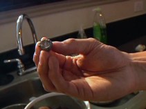 Stray Bullet Startles Dallas Newlyweds Awake