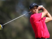 Tiger Woods' Mother-in-Law Released From Fla. Hospital